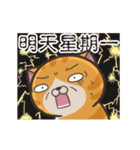 動く！ランラン猫 (台湾版)（個別スタンプ：24）