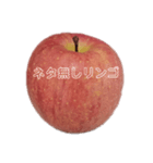 だいすき りんご（個別スタンプ：20）