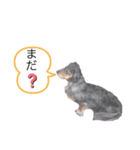 小山メルちゃんのスタンプ（個別スタンプ：6）