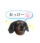 小山メルちゃんのスタンプ（個別スタンプ：8）