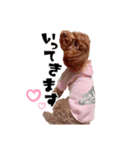 ぶーのすたんぷ（個別スタンプ：2）