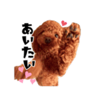 ぶーのすたんぷ（個別スタンプ：7）