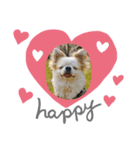 1dog2cats（個別スタンプ：7）
