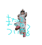 秋友ⅳ（個別スタンプ：3）