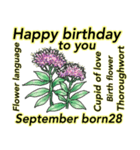 9月、誕生日と誕生日の花。（個別スタンプ：28）