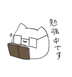 ねこおもち（個別スタンプ：24）