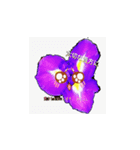 寂しがりやの花言葉（個別スタンプ：2）