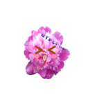 寂しがりやの花言葉（個別スタンプ：3）