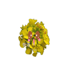 寂しがりやの花言葉（個別スタンプ：4）