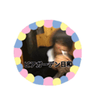 横着スタンプ☆（個別スタンプ：5）