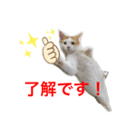 トラチワちゃん☆（個別スタンプ：5）