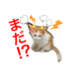 トラチワちゃん☆（個別スタンプ：7）