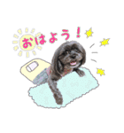 ららちゃんの毎日 よく使う言葉（個別スタンプ：1）