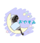 ららちゃんの毎日 よく使う言葉（個別スタンプ：2）
