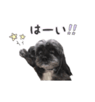 ららちゃんの毎日 よく使う言葉（個別スタンプ：10）
