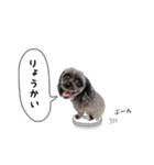 ららちゃんの毎日 よく使う言葉（個別スタンプ：11）