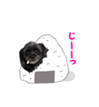 ららちゃんの毎日 よく使う言葉（個別スタンプ：15）