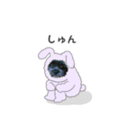 ららちゃんの毎日 よく使う言葉（個別スタンプ：19）
