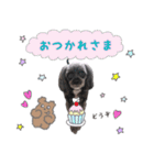 ららちゃんの毎日 よく使う言葉（個別スタンプ：21）