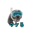 ららちゃんの毎日 よく使う言葉（個別スタンプ：26）