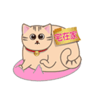 敲き猫仕事に行く（個別スタンプ：5）