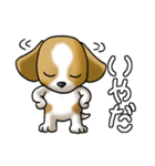 犬大好き！その1（セントバーナード）（個別スタンプ：22）