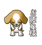 犬大好き！その1（セントバーナード）（個別スタンプ：37）