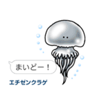 水棲生物スタンプ（個別スタンプ：28）