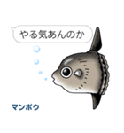 水棲生物スタンプ（個別スタンプ：32）