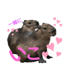 愛たっぷりの日常会話〜どうぶつ編〜⑤（個別スタンプ：4）