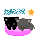 子猫ちゃんたちの日常会話（個別スタンプ：5）