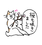まったりごろごろ日本猫4・季節のご挨拶（個別スタンプ：8）