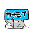 それゆけコタロー（個別スタンプ：10）