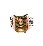 ぶさかわねこ3姉妹（個別スタンプ：3）