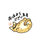 ぶさかわねこ3姉妹（個別スタンプ：4）