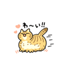 ぶさかわねこ3姉妹（個別スタンプ：5）