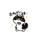 ぶさかわねこ3姉妹（個別スタンプ：7）