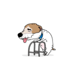 ぷよ ジャック ラッセル テリア犬 アニメ 3（個別スタンプ：8）