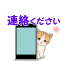 ちび猫4 連絡です（個別スタンプ：2）