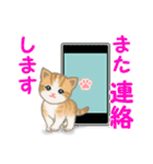 ちび猫4 連絡です（個別スタンプ：4）