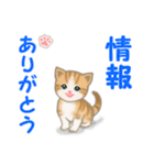 ちび猫4 連絡です（個別スタンプ：6）