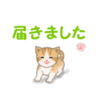 ちび猫4 連絡です（個別スタンプ：8）