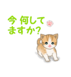 ちび猫4 連絡です（個別スタンプ：16）