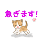 ちび猫4 連絡です（個別スタンプ：25）