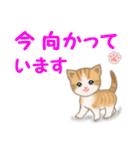 ちび猫4 連絡です（個別スタンプ：27）