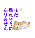 ちび猫4 連絡です（個別スタンプ：34）