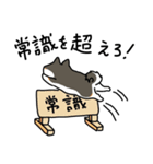 黒柴先生（個別スタンプ：14）