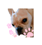 ＊いろいろ＊（個別スタンプ：3）