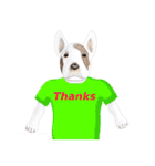 Tシャツ犬（個別スタンプ：5）