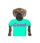 Tシャツ犬（個別スタンプ：7）